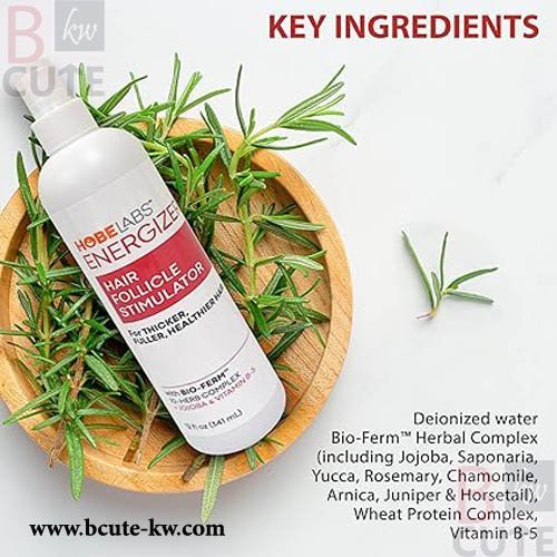 Hobe Labs Energizer Hair Follicle Stimulator 237 ml