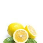 product11 free img.jpg