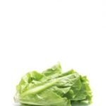 product13 free img 230x300 1.jpg