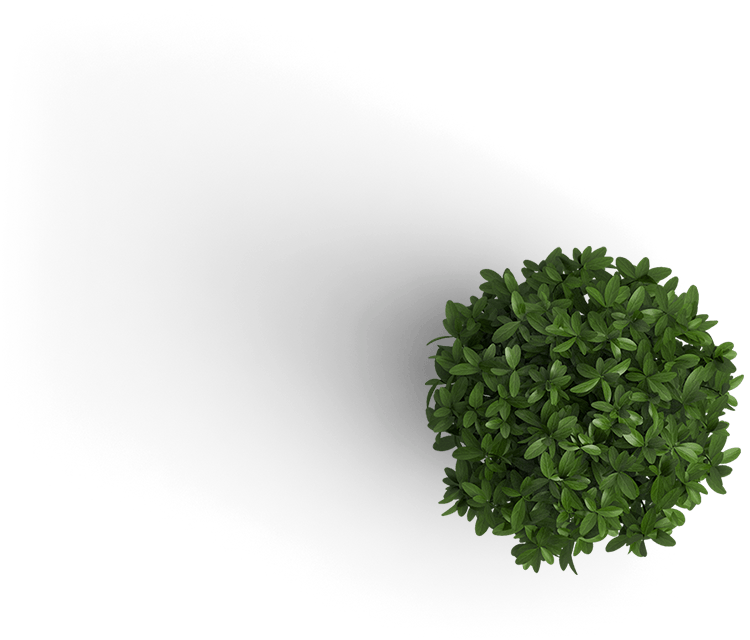 plant.png